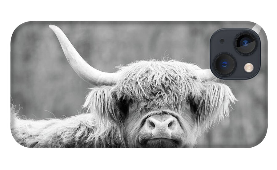 Cow iPhone 13 Case featuring the photograph Highland Coo by Holly Ross