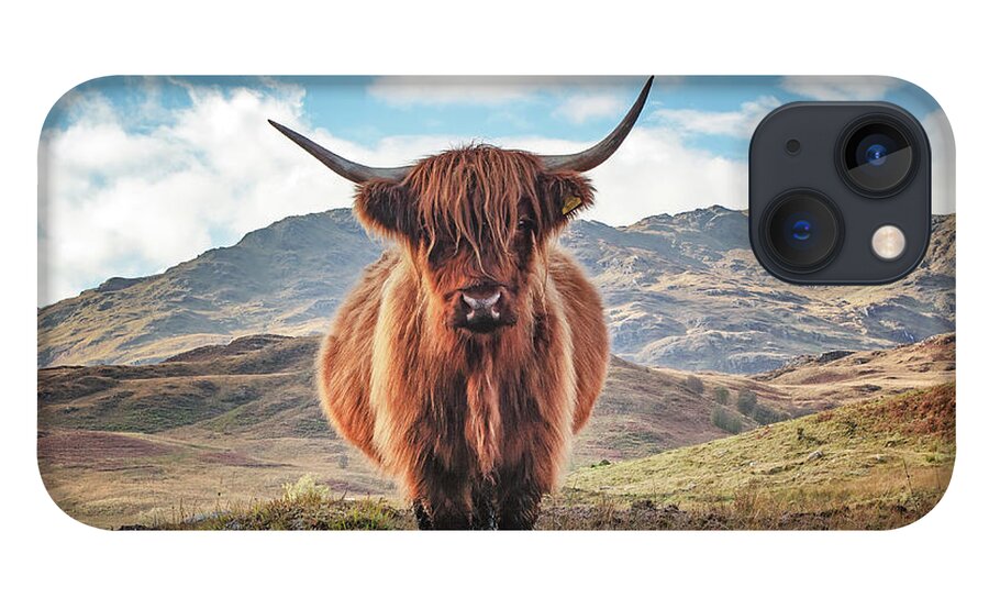 Highland Cow iPhone 13 Case featuring the photograph Highland Cow Loch Lomond and Trossachs Park by Grant Glendinning