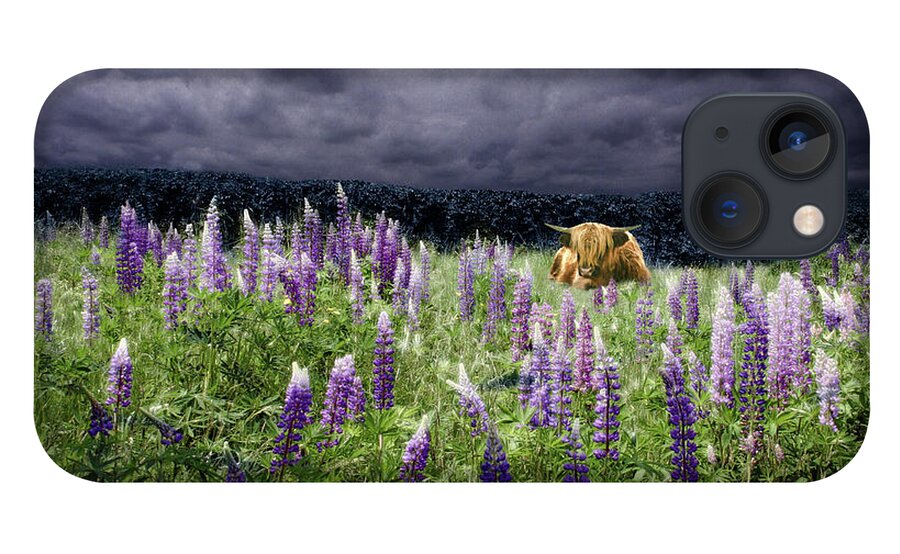 Lupinefest iPhone 13 Case featuring the photograph Highlander in the Lupine by Wayne King