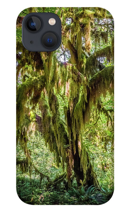 Washington iPhone 13 Case featuring the photograph Hoh Forest #3 by Alberto Zanoni