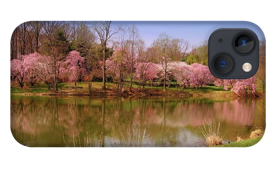 Cherry Blossoms iPhone 13 Case featuring the photograph Holmdel Park In Spring by Angie Tirado