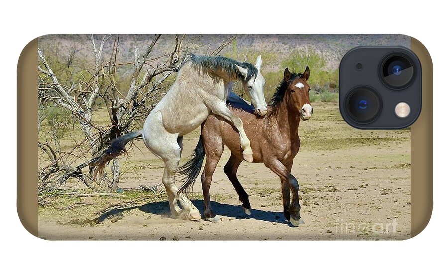 Salt River Wild Horse iPhone 13 Case featuring the digital art Horsin Around by Tammy Keyes