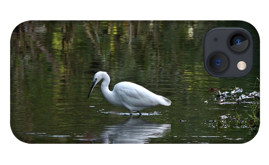 Nature iPhone 13 Case featuring the photograph Hunting Egret by Stephen Melia