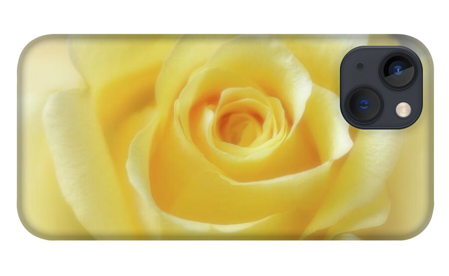 Rose iPhone 13 Case featuring the photograph Hybrid Tea Rose - Yellow by Yvonne Johnstone