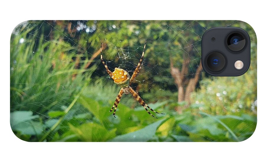 Spider iPhone 13 Case featuring the photograph I Web You by Esoteric Gardens KN