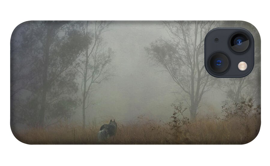 Fog iPhone 13 Case featuring the digital art Into the Mist by Nicole Wilde