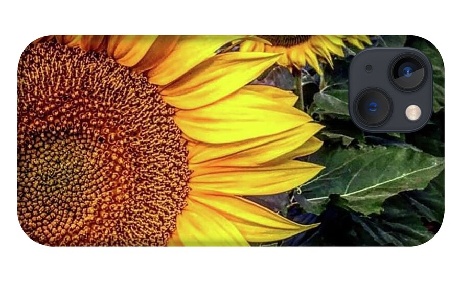 Iphonography iPhone 13 Case featuring the photograph Iphonography Sunflower 3 by Julie Powell