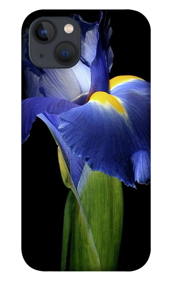 Macro iPhone 13 Case featuring the photograph Iris 041907 by Julie Powell