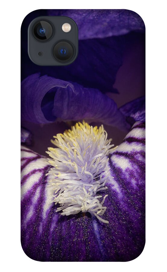 Cibola National Forest iPhone 13 Case featuring the photograph Iris Delight by Maresa Pryor-Luzier