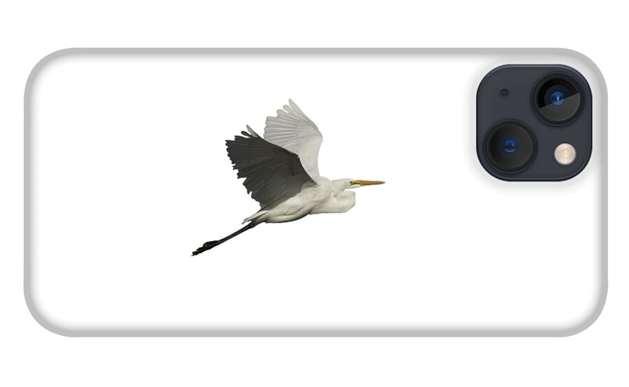 Great Egret iPhone 13 Case featuring the photograph Isolated Great Egret 2016 by Thomas Young