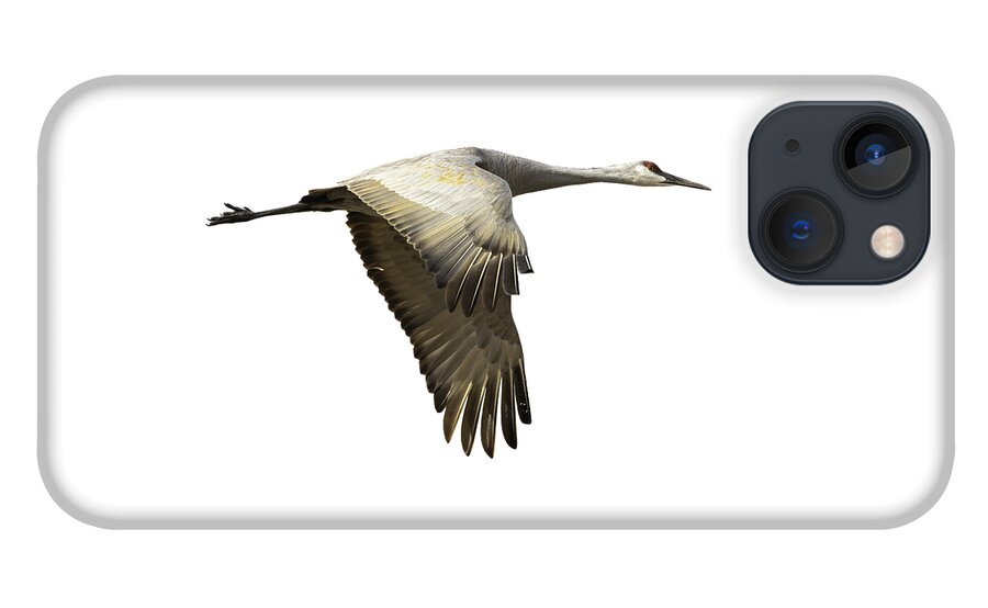 Sandhill Crane iPhone 13 Case featuring the photograph Isolated Sandhill Crane 1-2021 by Thomas Young