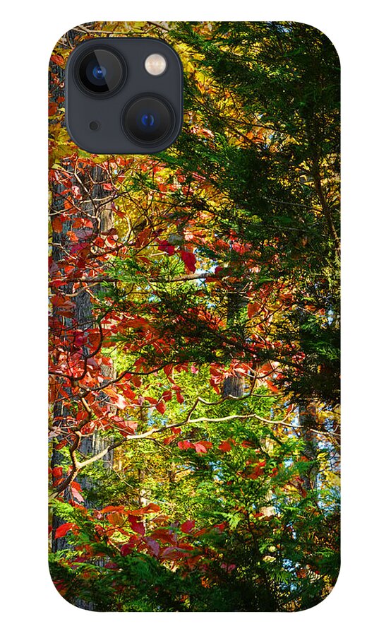 Colorful iPhone 13 Case featuring the photograph It's So Easy Being Green - A Piedmont Autumn Impression by Steve Ember