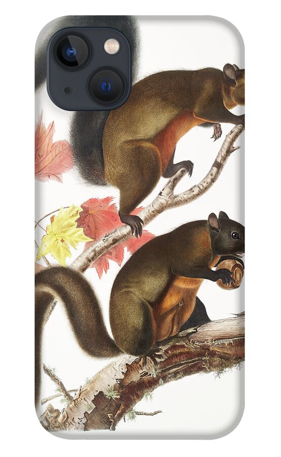 Squirrel iPhone 13 Case featuring the mixed media John Woodhouse Audubon by World Art Collective