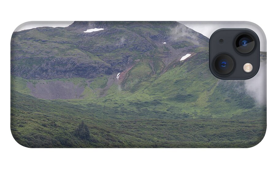 Alaska iPhone 13 Case featuring the photograph Juneau Elevated Greenery by Ed Williams