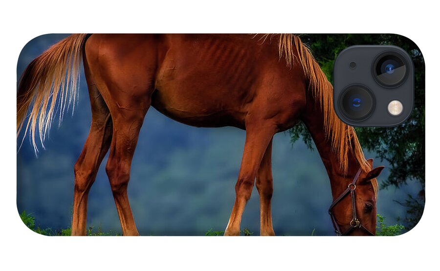 Horse iPhone 13 Case featuring the photograph Just horsin' around... by Shelia Hunt
