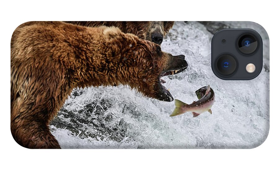 Ursus Arctos Gyas iPhone 13 Case featuring the photograph Just Out of Reach - Alaska Brown Bear Fishing by Amazing Action Photo Video