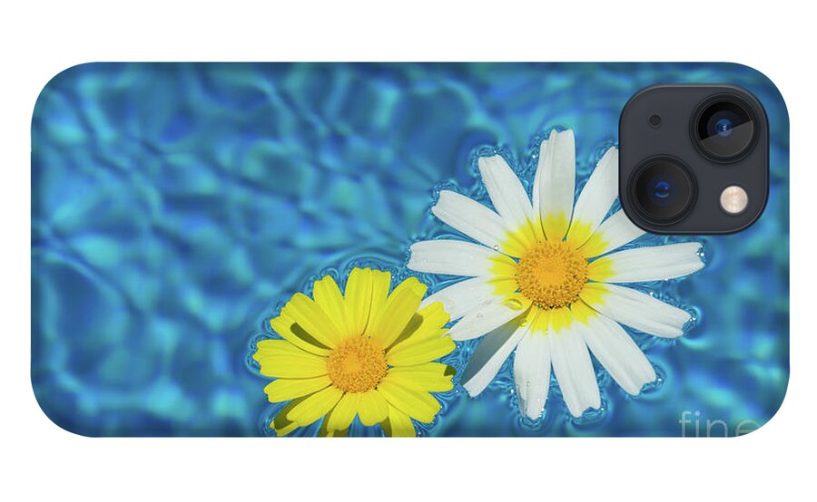 Daisies iPhone 13 Case featuring the photograph Keep your sunny days by the pool by Adriana Mueller