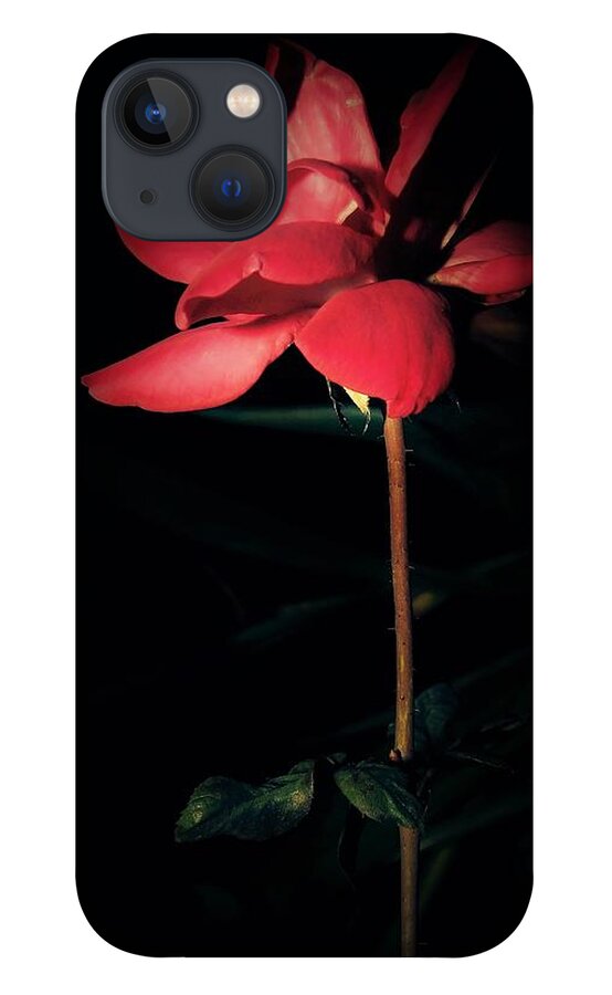 Flower iPhone 13 Case featuring the photograph Knockout In The Night Light by Gena Herro