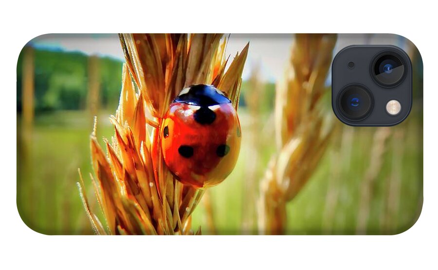 Ladybug iPhone 13 Case featuring the photograph Ladybug by Thomas Nay