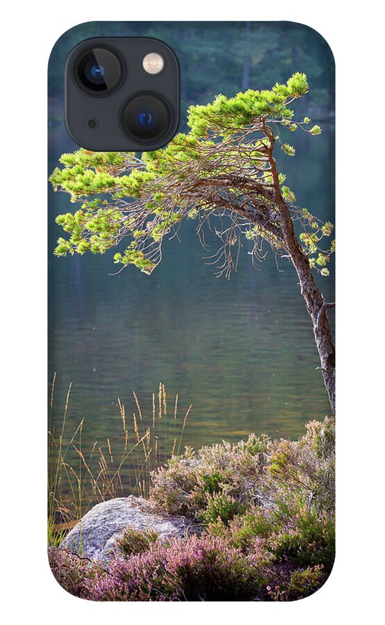 Pine Tree iPhone 13 Case featuring the photograph Late summer light beside Loch An Eilein by Anita Nicholson
