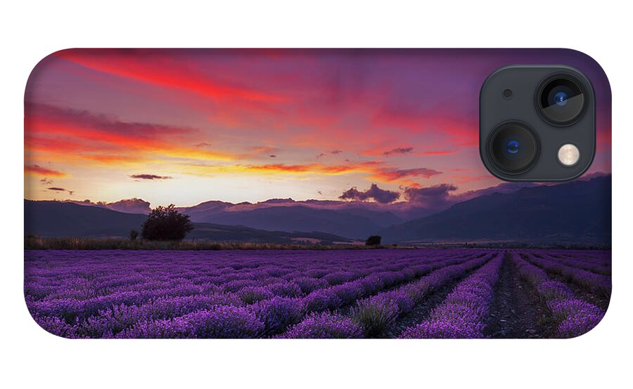 #faatoppicks iPhone 13 Case featuring the photograph Lavender Season by Evgeni Dinev