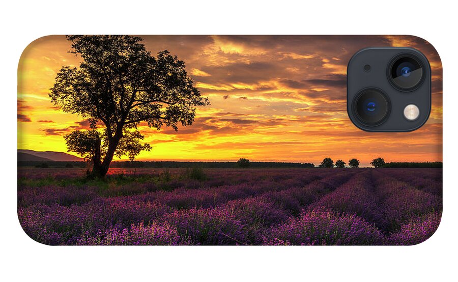 Bulgaria iPhone 13 Case featuring the photograph Lavender Sunrise by Evgeni Dinev
