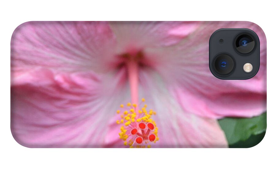 Flower iPhone 13 Case featuring the photograph Light Pink Hibiscus 3 by Amy Fose