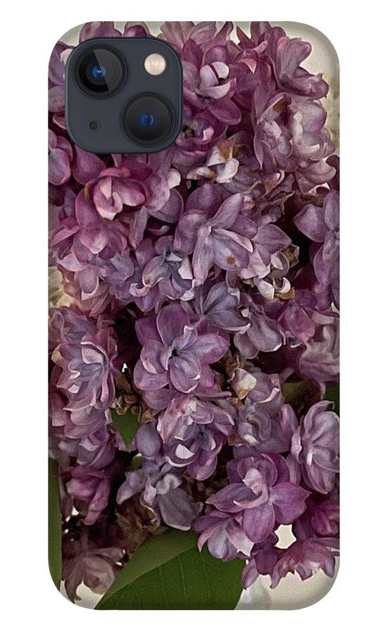 Lilacs iPhone 13 Case featuring the photograph Lilacs by Lisa White