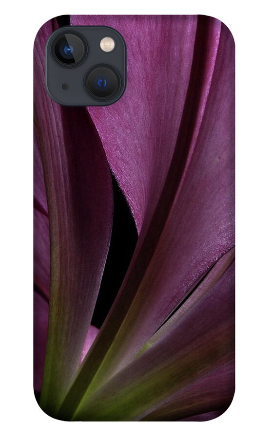 Botanical iPhone 13 Case featuring the photograph Lily 4148 by Julie Powell