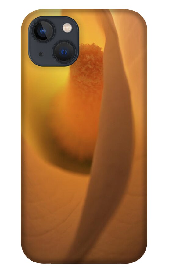 Macro iPhone 13 Case featuring the photograph Lily 5615 by Julie Powell
