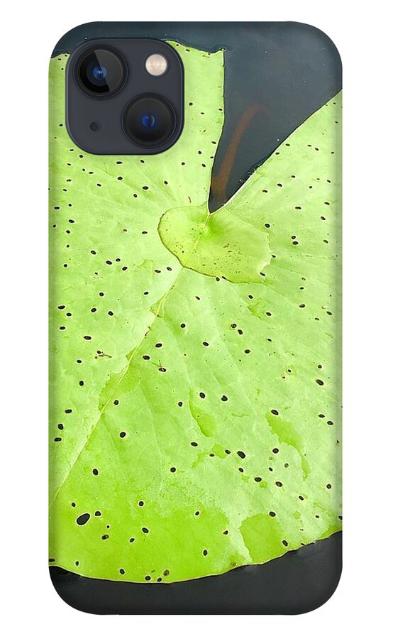 Lily Pad iPhone 13 Case featuring the photograph Lily Pad on Dark Water by Wendy Golden