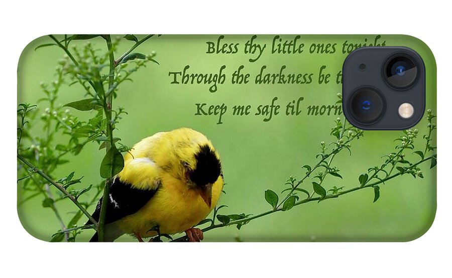 Goldfinch iPhone 13 Case featuring the photograph Little Prayer by Alida M Haslett