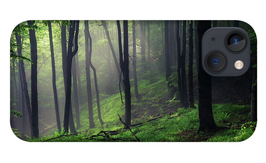 Mist iPhone 13 Case featuring the photograph Living Forest by Evgeni Dinev