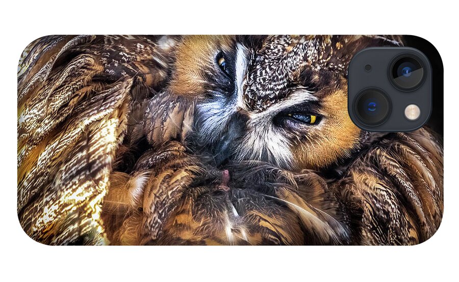 Long-eared Owl iPhone 13 Case featuring the photograph Long-eared Owl Preening by Sandra Rust