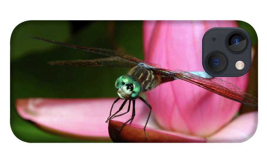 Dragonfly iPhone 13 Case featuring the photograph Look of a Dragonfly by Melissa Southern