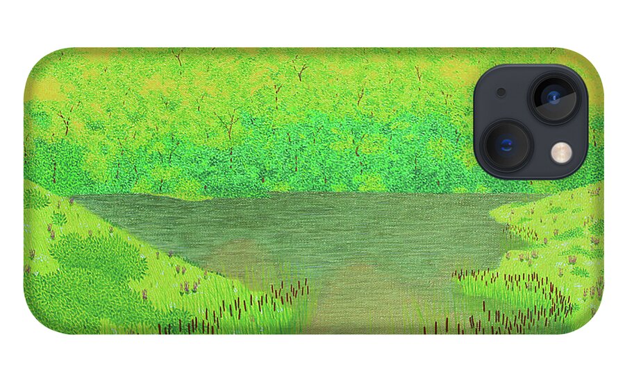 Streams iPhone 13 Case featuring the painting Look On The Bright Side by Doug Miller