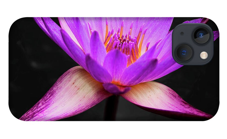 3scape iPhone 13 Case featuring the photograph Lotus by Adam Romanowicz