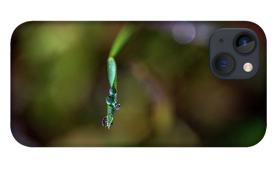 Plants iPhone 13 Case featuring the photograph Macro Photography - Rain Drops by Amelia Pearn