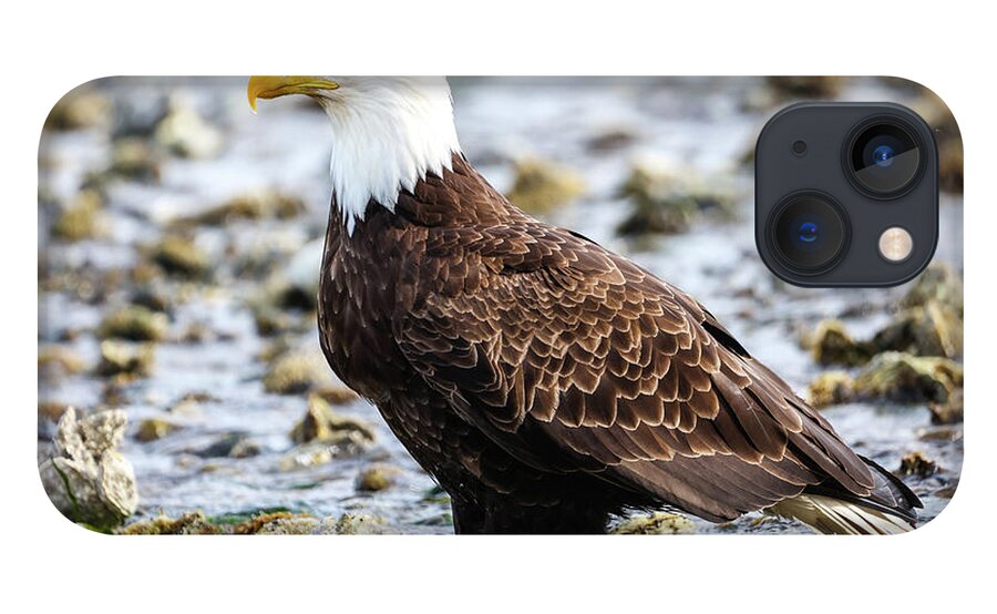Eagle iPhone 13 Case featuring the photograph Majestic Eagle by Tahmina Watson