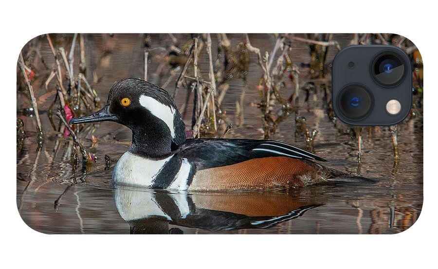 Nature iPhone 13 Case featuring the photograph Male Hooded Merganser DWF0231 by Gerry Gantt