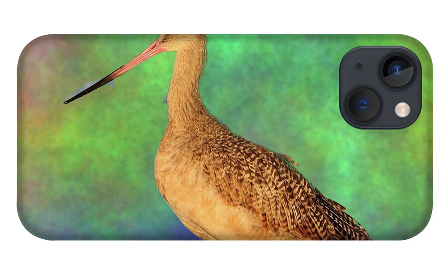 Marbled Godwit iPhone 13 Case featuring the photograph Marbled Godwit by Mingming Jiang