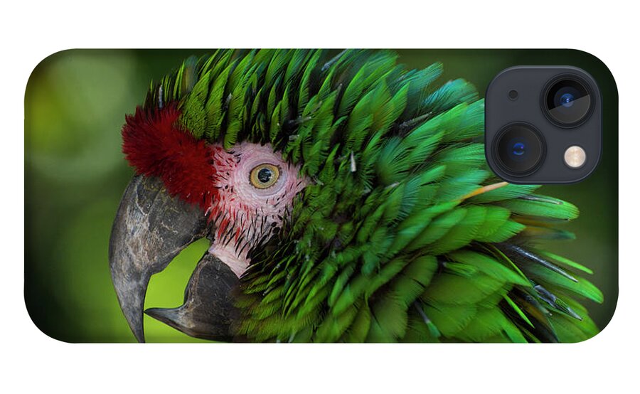 Green iPhone 13 Case featuring the photograph Military Macaw by Carolyn Hutchins
