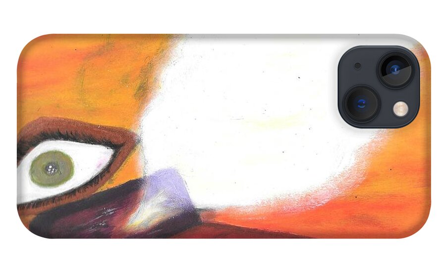 Meditation iPhone 13 Case featuring the painting Mind's Eye by Esoteric Gardens KN