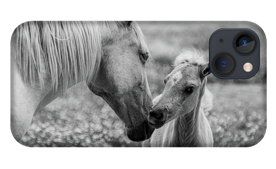 Horse iPhone 13 Case featuring the photograph Momma's kisses are best by Jamie Tyler