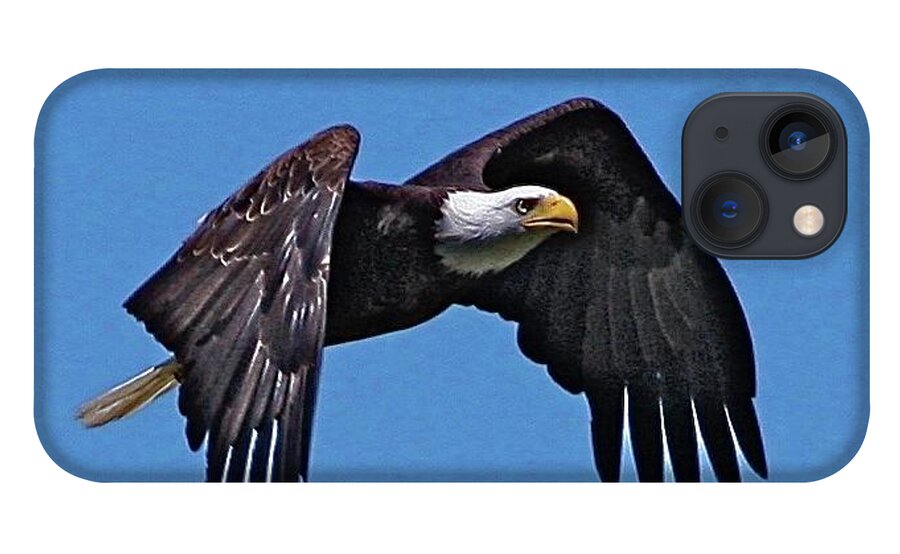 Eagle iPhone 13 Case featuring the photograph Montana Eagle by Dorsey Northrup