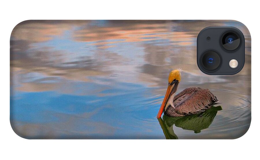 Pelican iPhone 13 Case featuring the photograph Morning Swim by Brad Barton