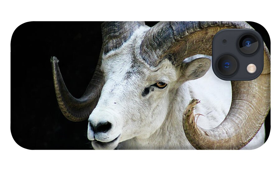 Banff iPhone 13 Case featuring the photograph Mountain Goat by Wilko van de Kamp Fine Photo Art