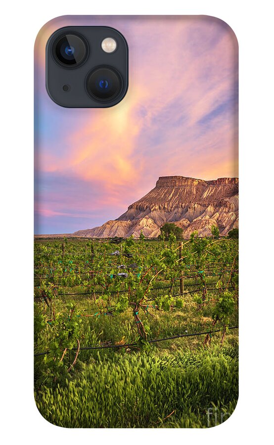 Mt Garfield iPhone 13 Case featuring the photograph Mt Garfield and the Palisade Vineyards by Ronda Kimbrow
