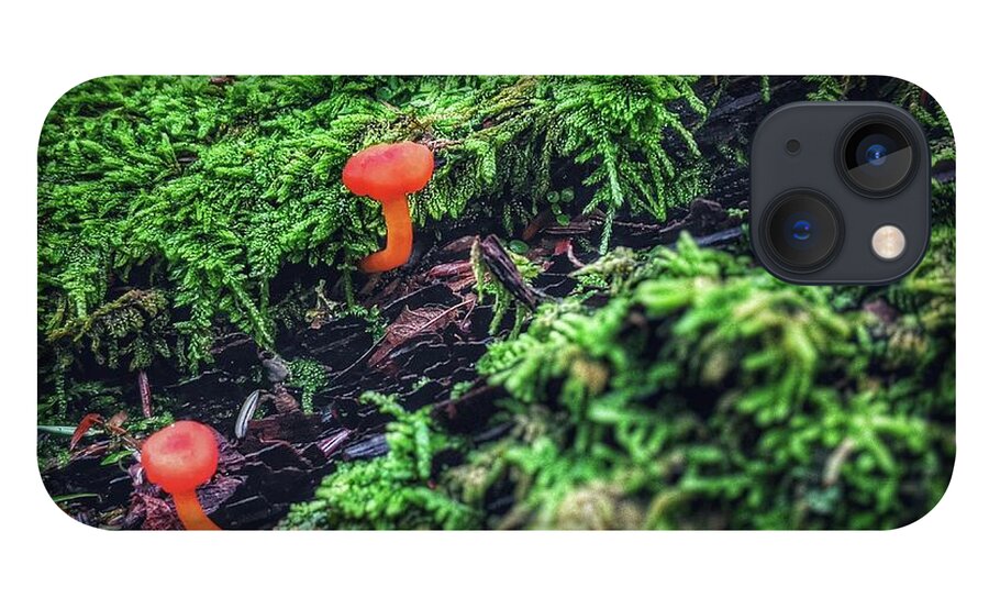 Moss iPhone 13 Case featuring the photograph Mushrooms in Moss by Evan Foster