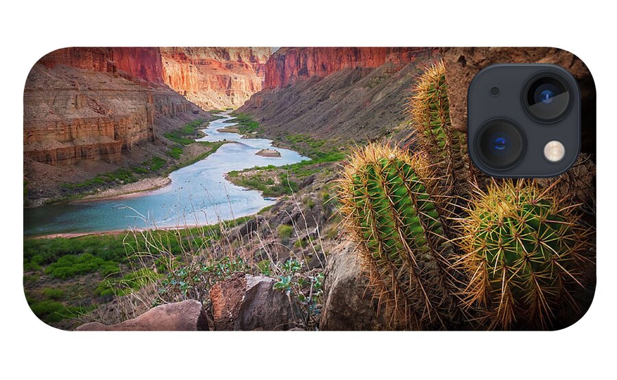 America iPhone 13 Case featuring the photograph Nankoweap Cactus by Inge Johnsson